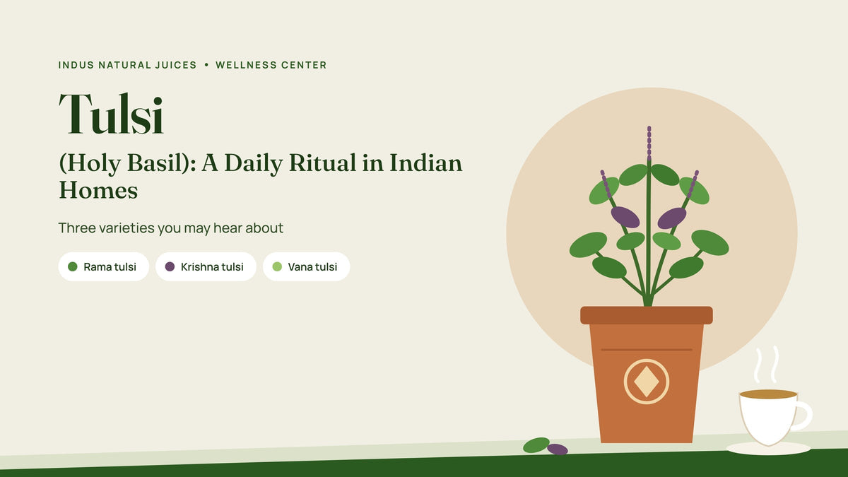 Tulsi (Holy Basil): A Daily Ritual in Indian Homes