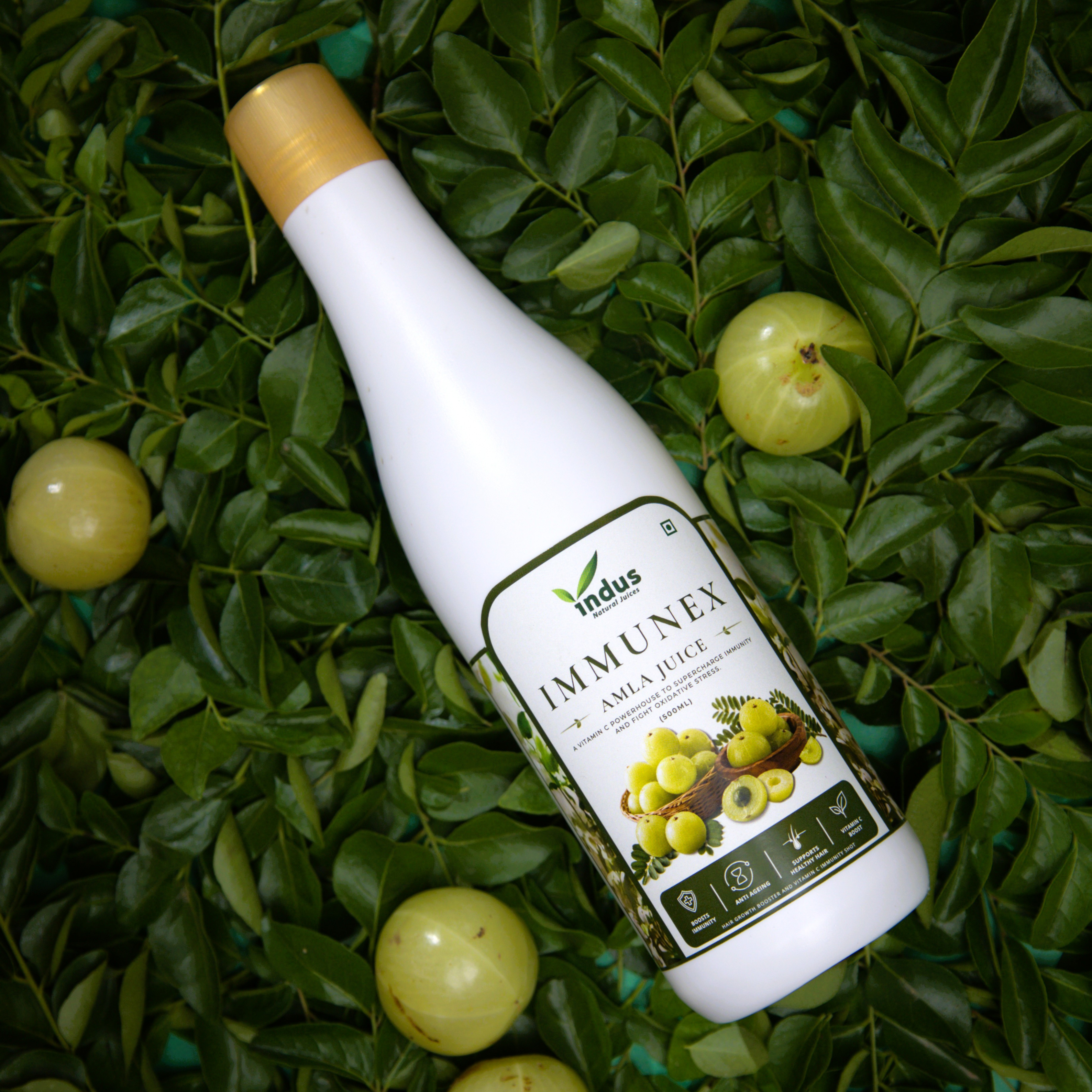Amla Juice