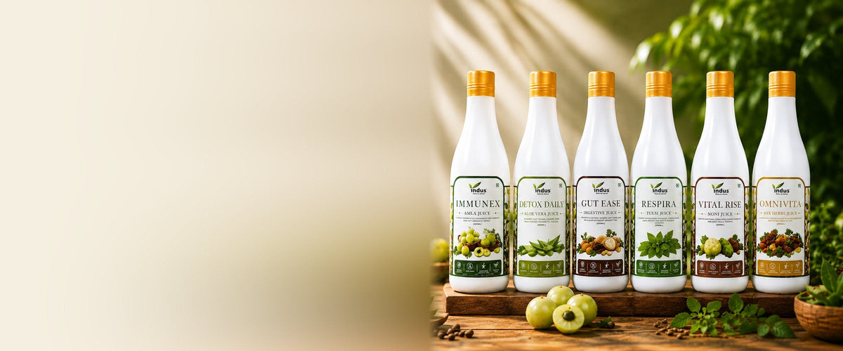 Indus Natural Juices banner